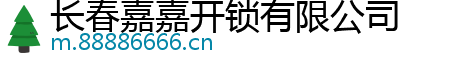 长春嘉嘉开锁有限公司